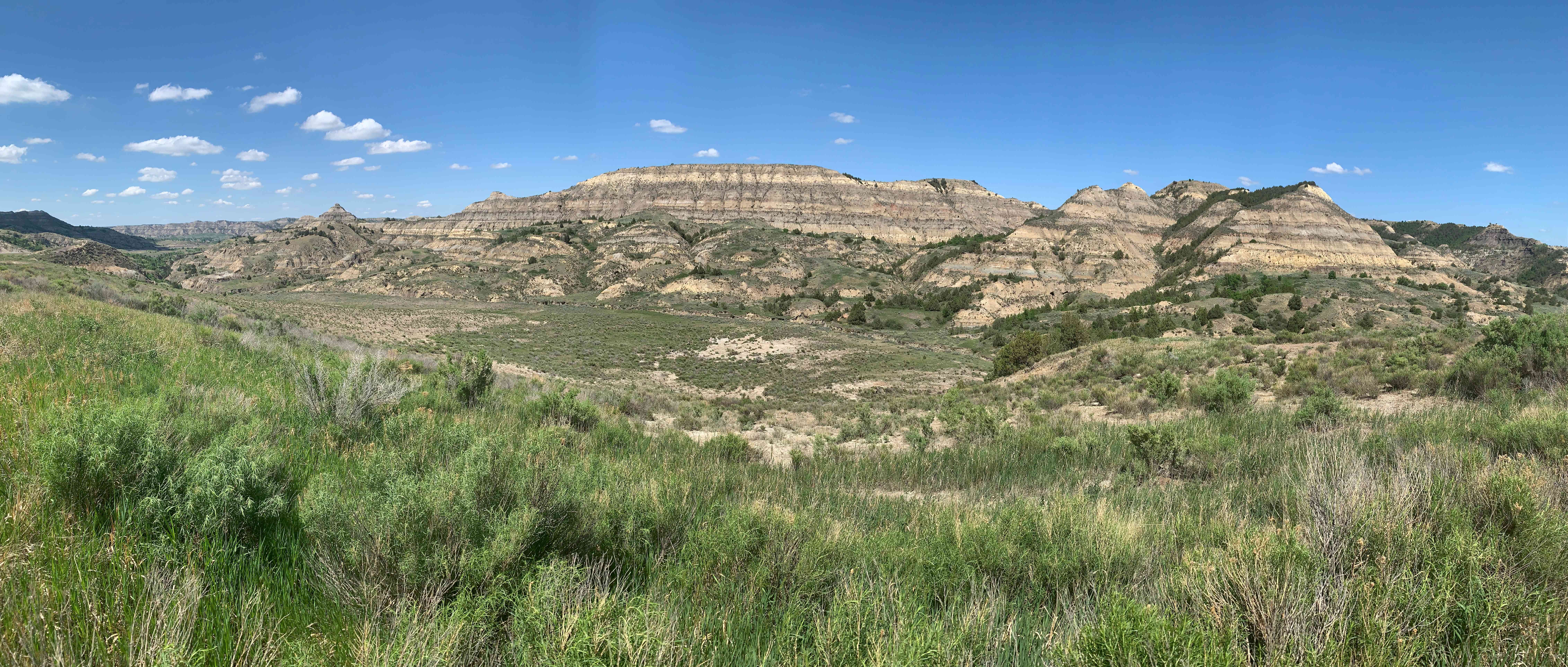 Theodore Roosevelt NP